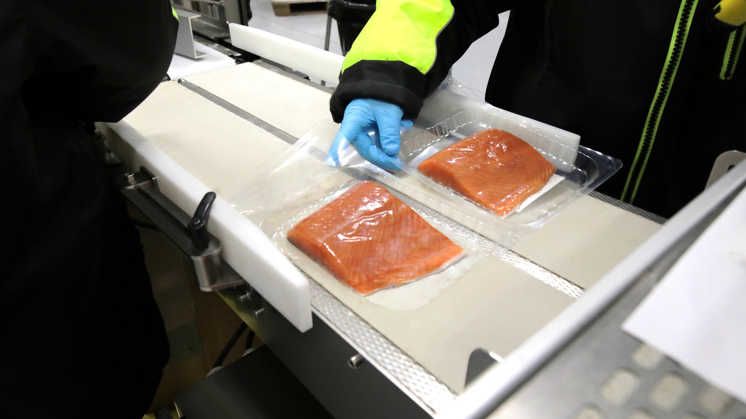 Ongeveer 13 procent van alle voedingsproducten wordt verspild tijdens de productie. (© Bizerba) 